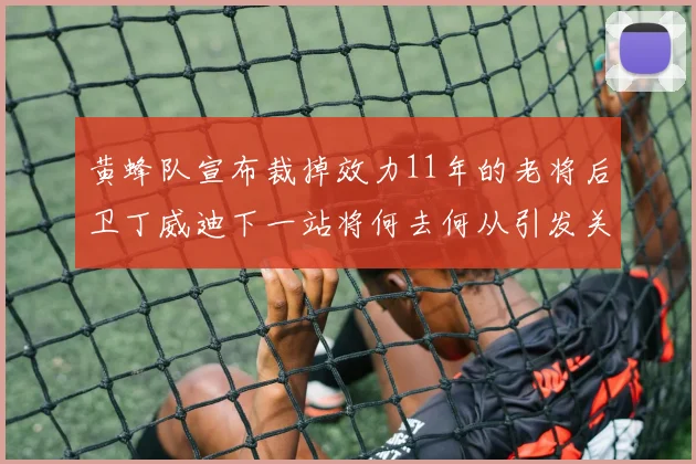 黄蜂队宣布裁掉效力11年的老将后卫丁威迪下一站将何去何从引发关注