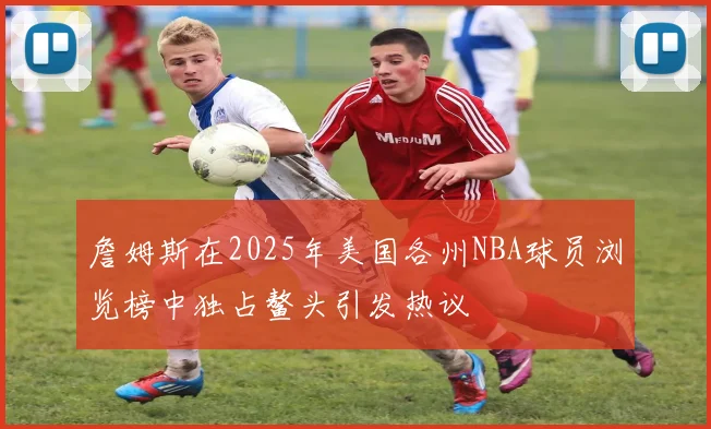 詹姆斯在2025年美国各州NBA球员浏览榜中独占鳌头引发热议