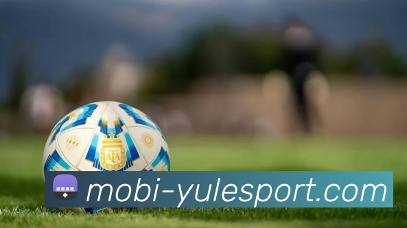 乐鱼体育APP 封面图